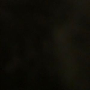 Meet your Posher, Lynn